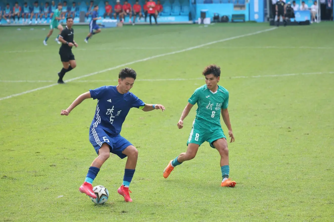 细致的赛事 细致的赛事