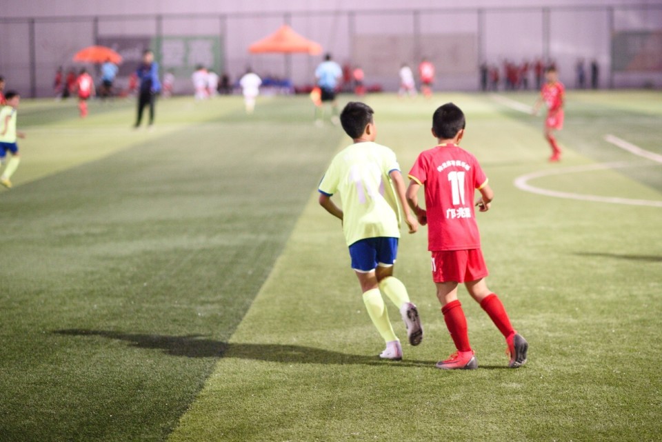 年数量众多, 完善安排保, margi 年数量众多, 完善安排保, margi